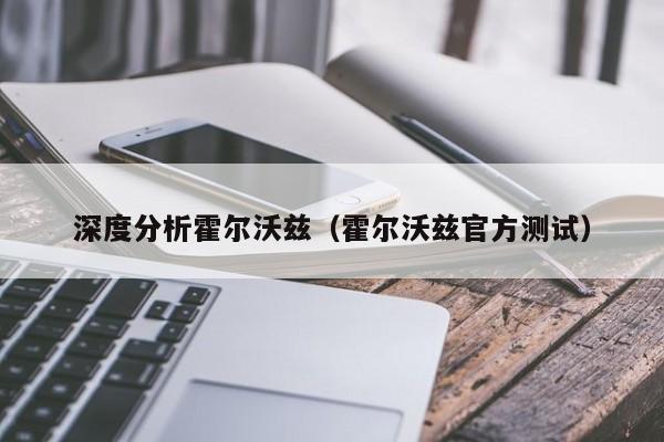 深度分析霍尔沃兹（霍尔沃兹官方测试）
