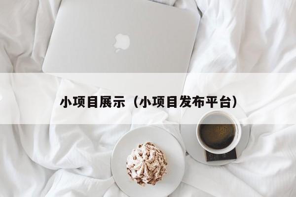 小项目展示（小项目发布平台）