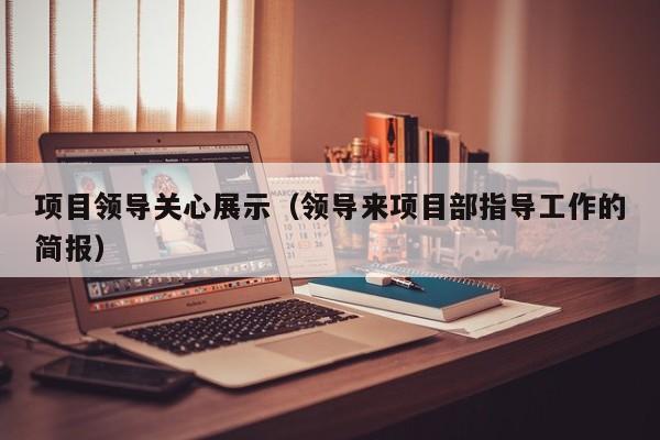 项目领导关心展示（领导来项目部指导工作的简报）